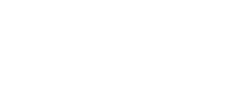 Domi logo